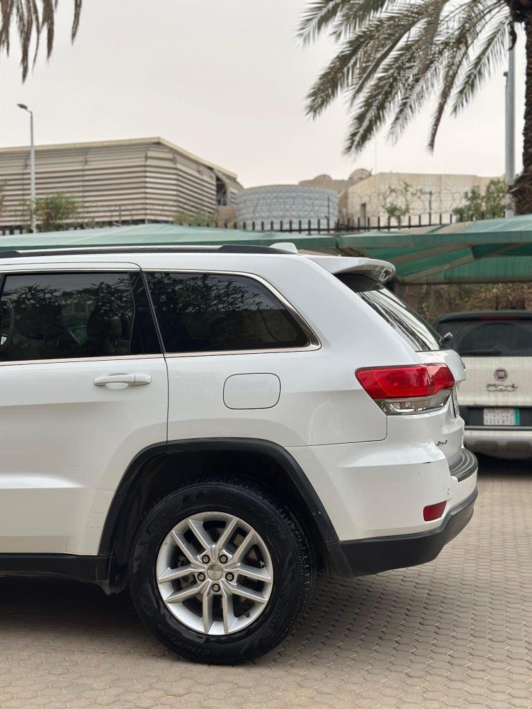 WhatsApp Image 2026-04-08 at 15.28.03