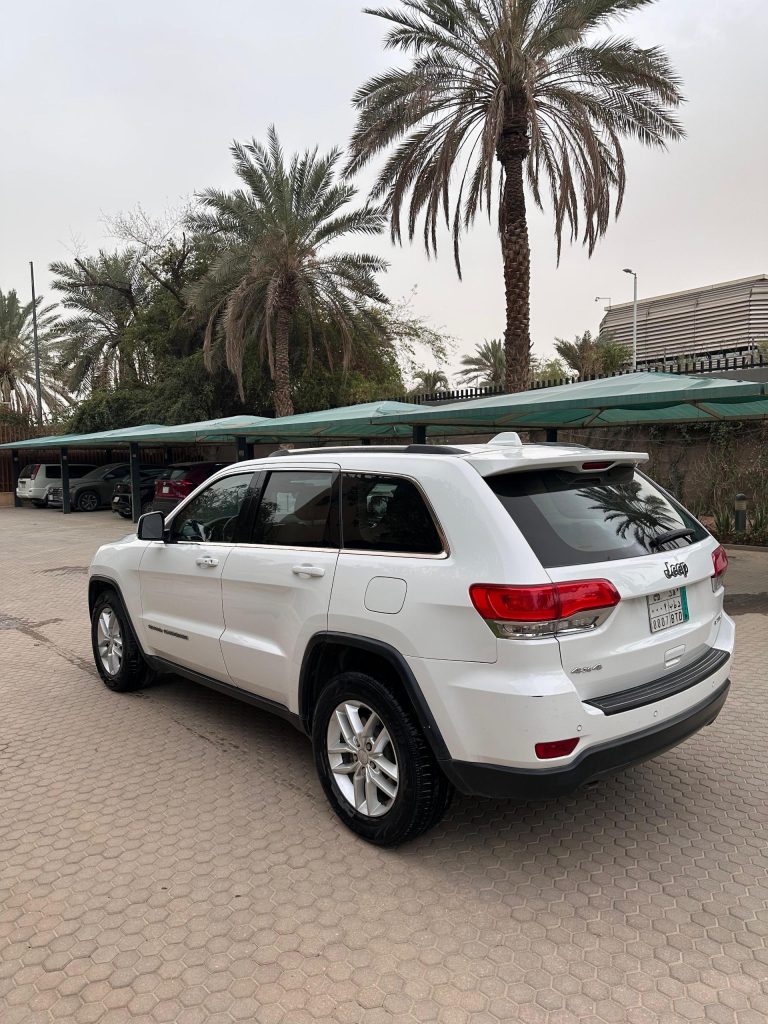 WhatsApp Image 2026-04-08 at 15.28.07